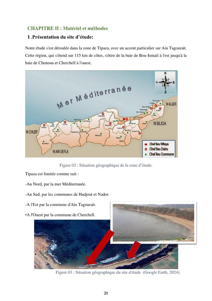 Biologie, écologie, systématique et valeurs nutritives de quelques algues marines de la côte Ouest d’Alger.
