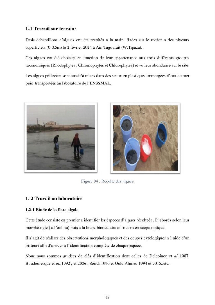 Biologie, écologie, systématique et valeurs nutritives de quelques algues marines de la côte Ouest d’Alger.