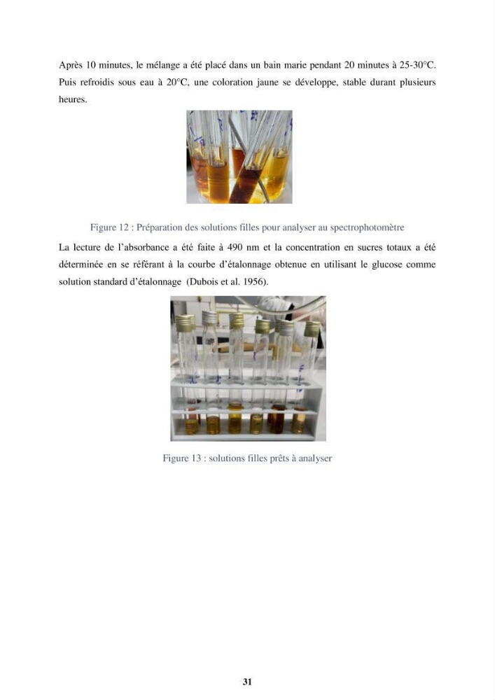 Biologie, écologie, systématique et valeurs nutritives de quelques algues marines de la côte Ouest d’Alger.
