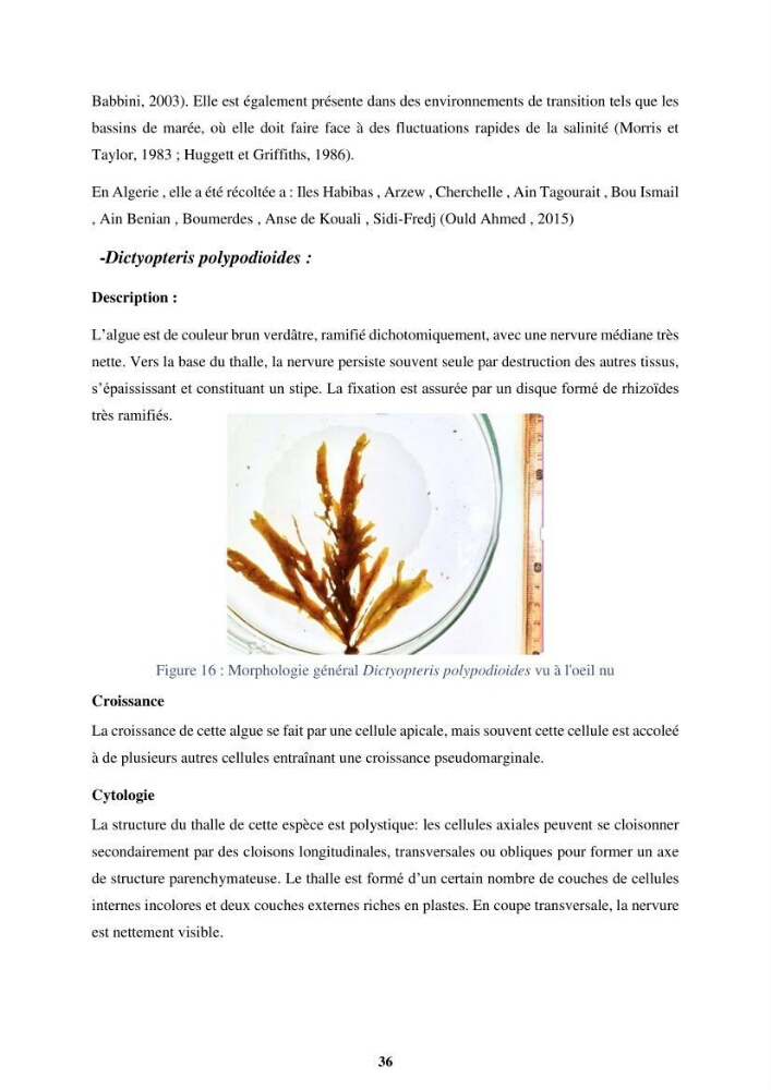 Biologie, écologie, systématique et valeurs nutritives de quelques algues marines de la côte Ouest d’Alger.