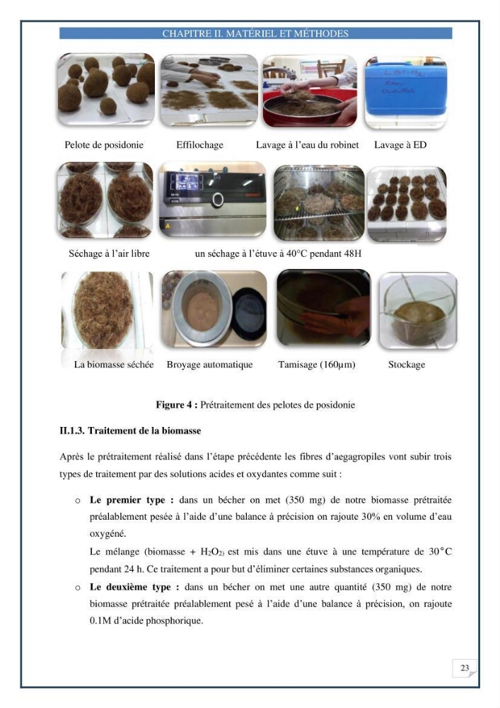Décoloration de l’eau par adsorption sur une biomasse marine (Les aegagropiles de Posidonia oceanica)