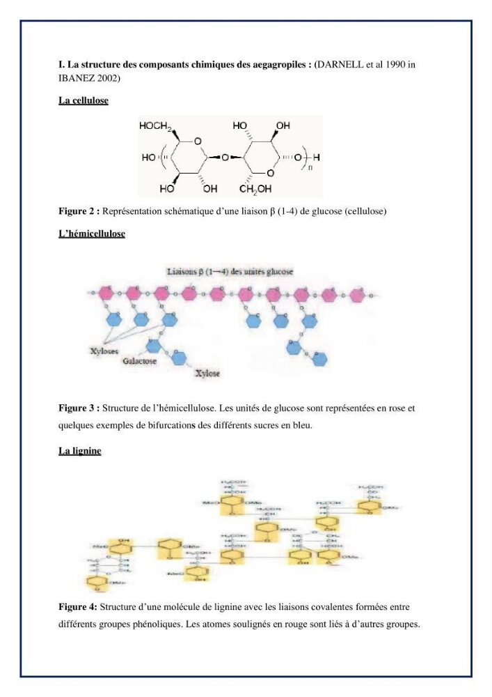 Décoloration de l’eau par adsorption sur une biomasse marine (Les aegagropiles de Posidonia oceanica)
