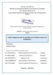 Etude d’impact du port de cap Djinet sur le littoral recours à la modélisation