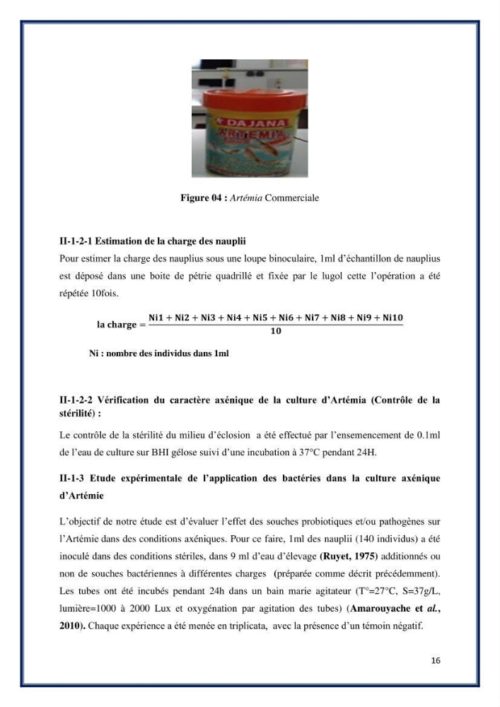 Application des souches à potentiel probiotique dans un élevage d’Artémie: