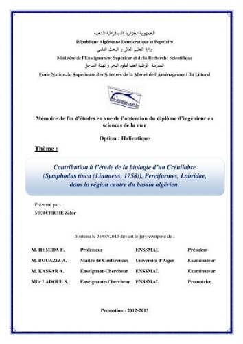 Etude des interactions interfaciales pb/diatomite. Etude des interactions interfaciales pb/diatomite.
