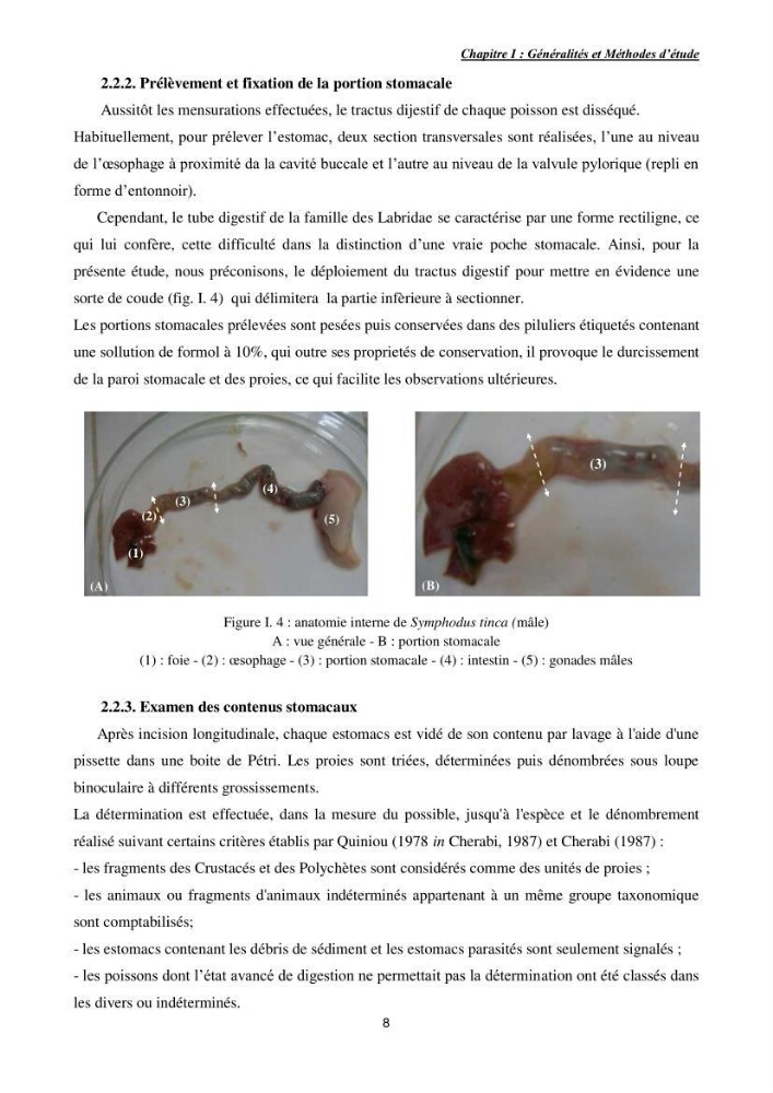 Etude des interactions interfaciales pb/diatomite.