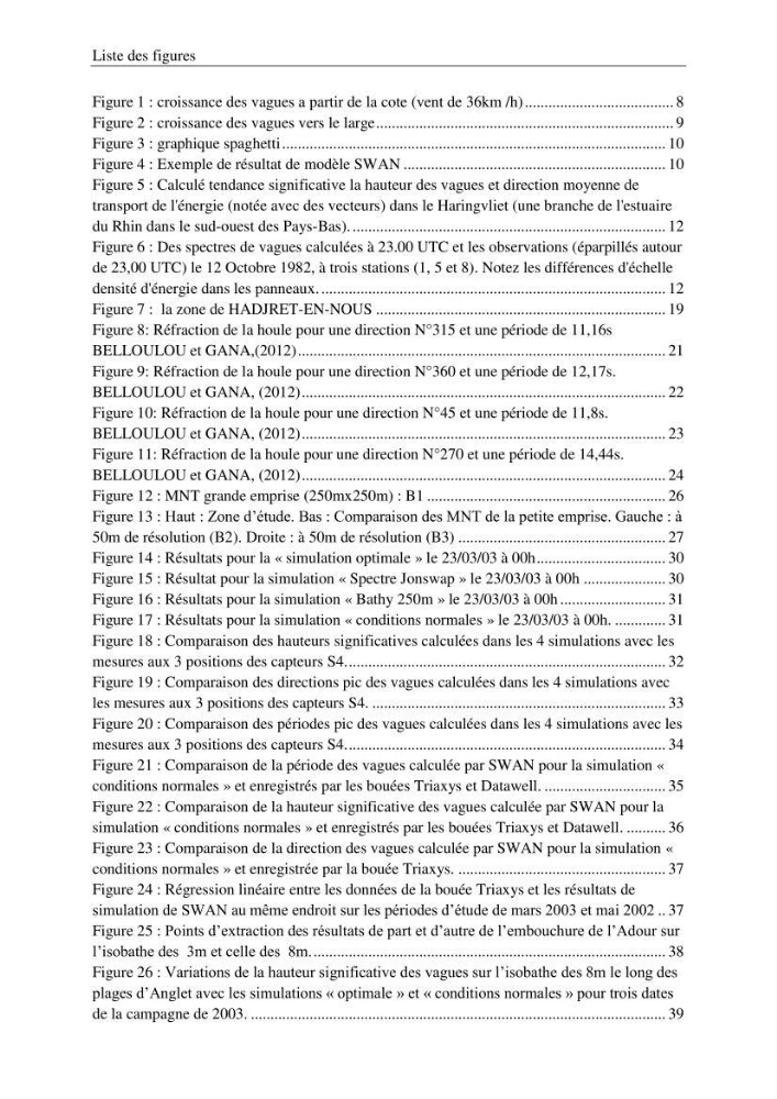 Etat de l\'art sur l\'utilisation du modéle SWAN (Stimuling WAves Neashore) dans un environnement microtidal