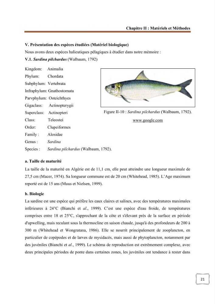 Analyse cartographique de l’influence des facteurs environnementaux sur la pêcherie algérienne de petits pélagiques côtiers