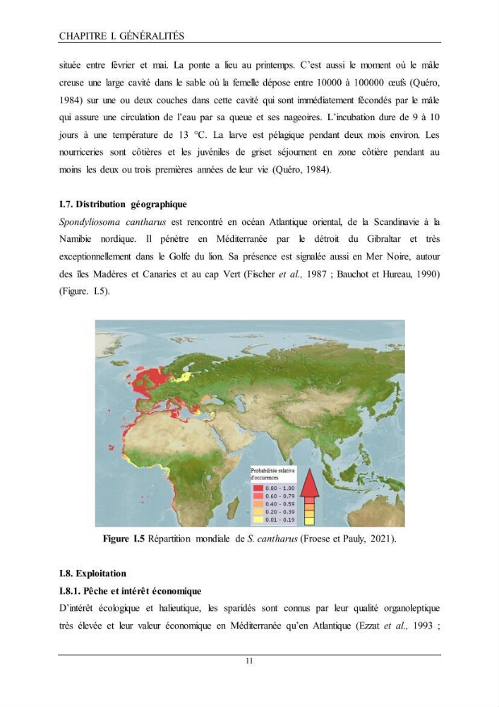 L’étude de la biométrie et du régime alimentaire de ladorade grise Spondyliosoma cantharus (Linnaeus, 1758) (Téléostéens, Sparidae) dans la région centre du bassin