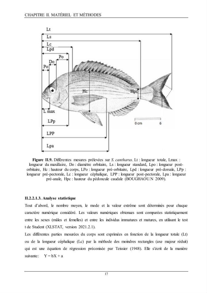 L’étude de la biométrie et du régime alimentaire de ladorade grise Spondyliosoma cantharus (Linnaeus, 1758) (Téléostéens, Sparidae) dans la région centre du bassin