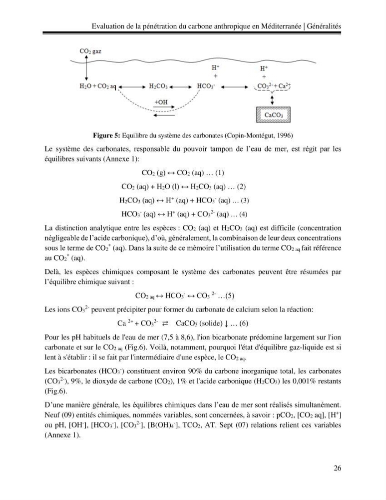 Estimation de la pénétration du carbone anthropique en méditerranée