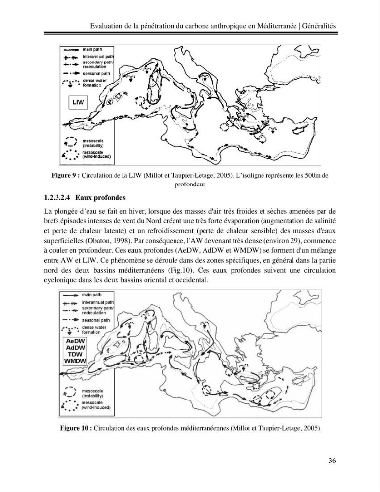 Estimation de la pénétration du carbone anthropique en méditerranée