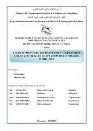 Etude d'impact du rechauffement climatique sur le littoral et adaptation des ouvrages maritimes
