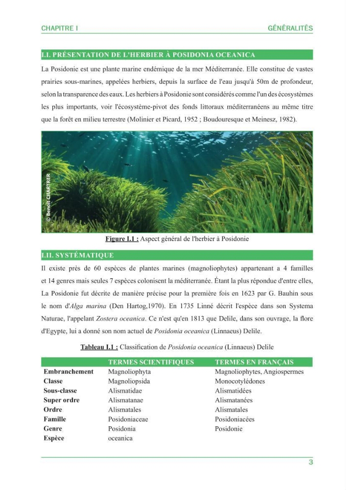 Contribution à l\'étude de l\'état écologique des herbiers à phanérogames marines ( Posidonia Oceanica ) : au niveau de la plage ouest de Sidi-Fredj