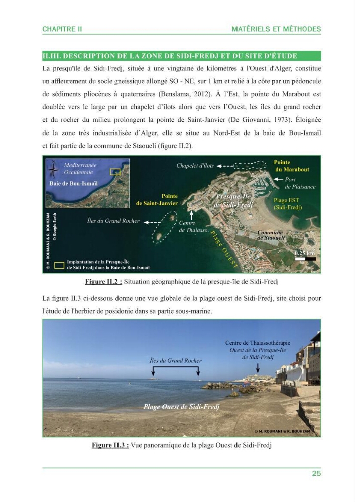 Contribution à l\'étude de l\'état écologique des herbiers à phanérogames marines ( Posidonia Oceanica ) : au niveau de la plage ouest de Sidi-Fredj