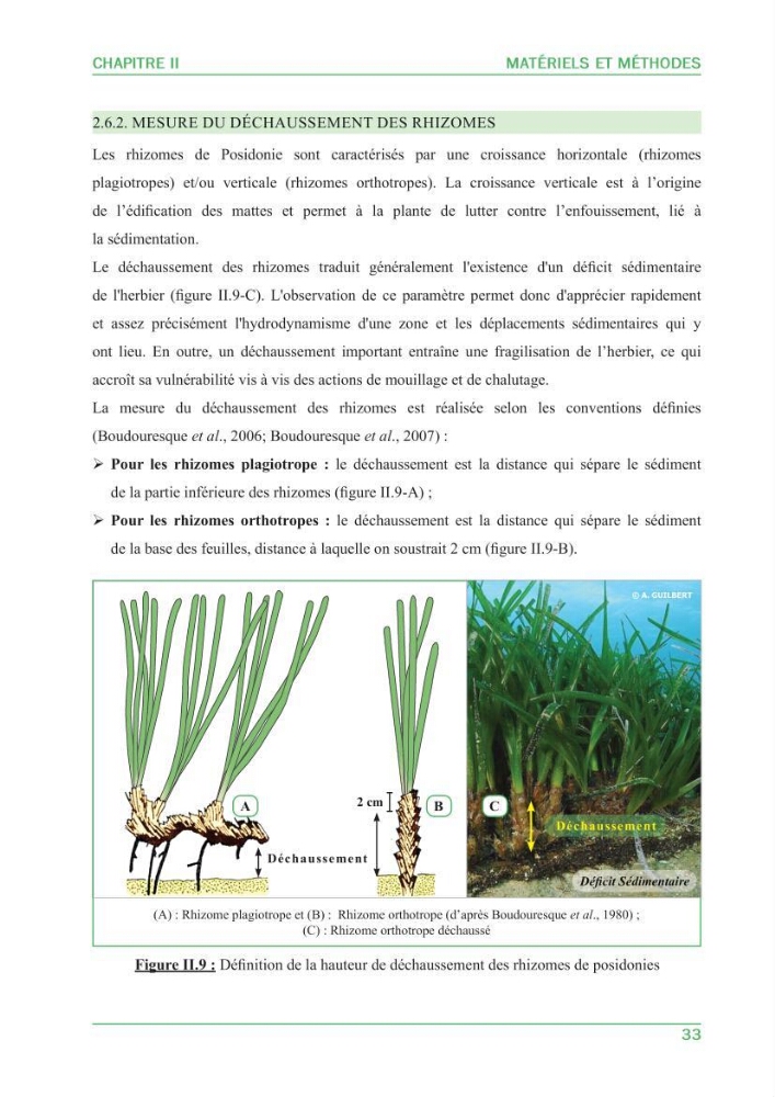 Contribution à l\'étude de l\'état écologique des herbiers à phanérogames marines ( Posidonia Oceanica ) : au niveau de la plage ouest de Sidi-Fredj