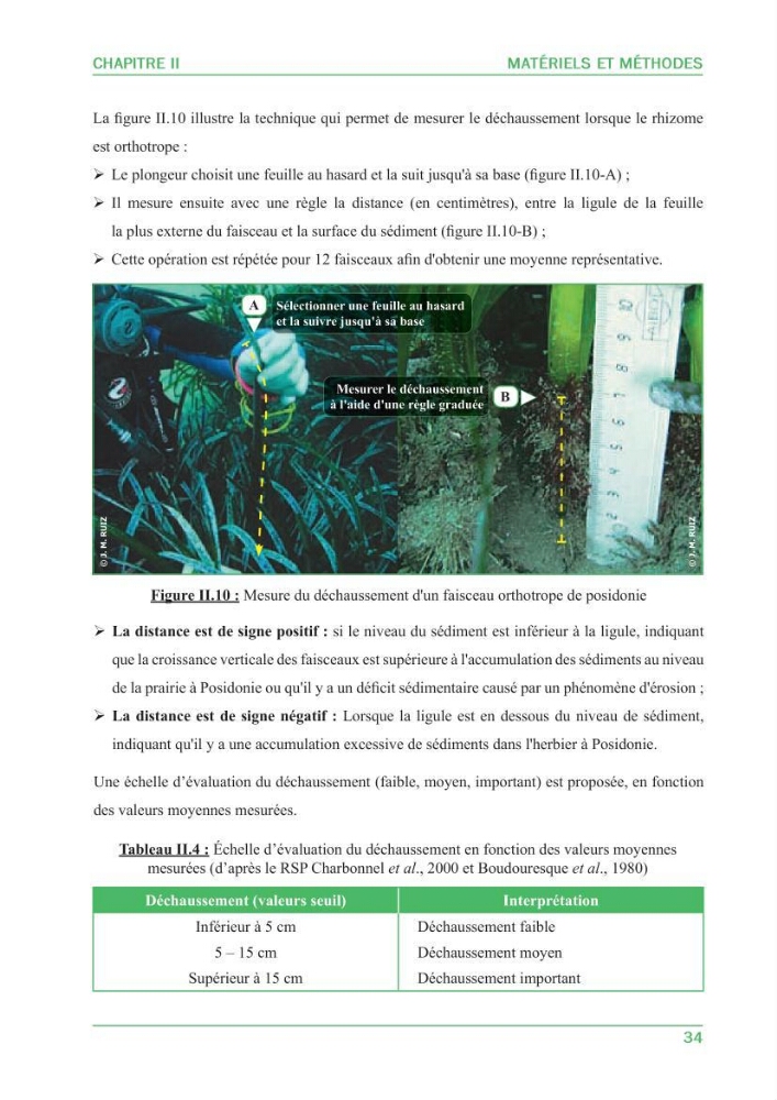 Contribution à l\'étude de l\'état écologique des herbiers à phanérogames marines ( Posidonia Oceanica ) : au niveau de la plage ouest de Sidi-Fredj