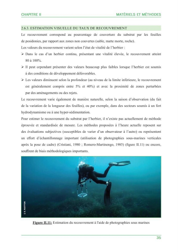 Contribution à l\'étude de l\'état écologique des herbiers à phanérogames marines ( Posidonia Oceanica ) : au niveau de la plage ouest de Sidi-Fredj