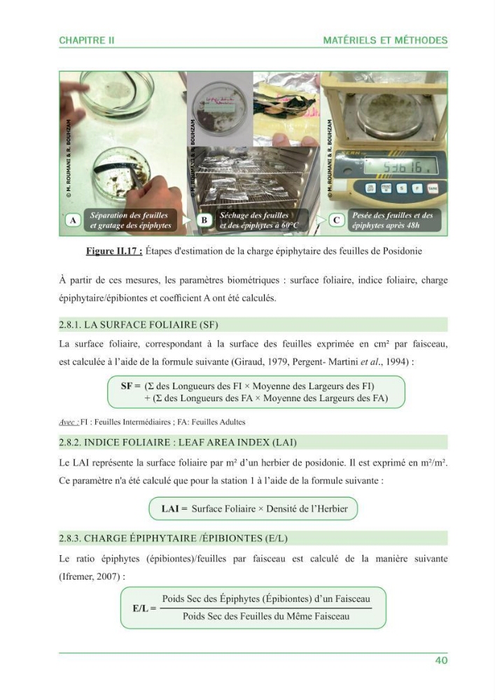 Contribution à l\'étude de l\'état écologique des herbiers à phanérogames marines ( Posidonia Oceanica ) : au niveau de la plage ouest de Sidi-Fredj