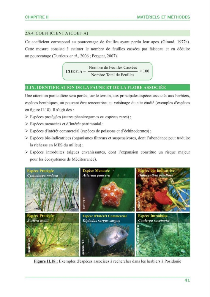 Contribution à l\'étude de l\'état écologique des herbiers à phanérogames marines ( Posidonia Oceanica ) : au niveau de la plage ouest de Sidi-Fredj