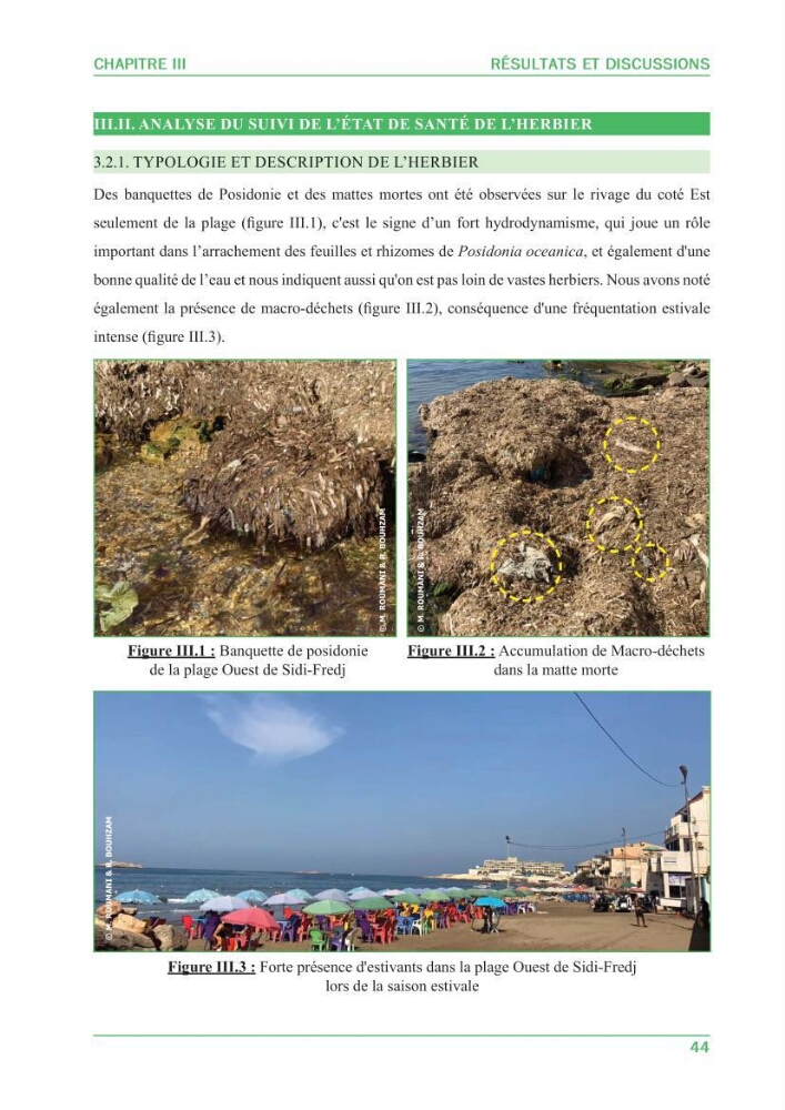 Contribution à l\'étude de l\'état écologique des herbiers à phanérogames marines ( Posidonia Oceanica ) : au niveau de la plage ouest de Sidi-Fredj