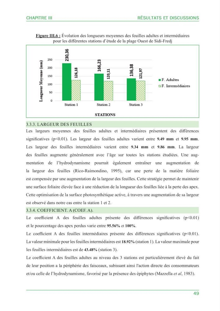 Contribution à l\'étude de l\'état écologique des herbiers à phanérogames marines ( Posidonia Oceanica ) : au niveau de la plage ouest de Sidi-Fredj