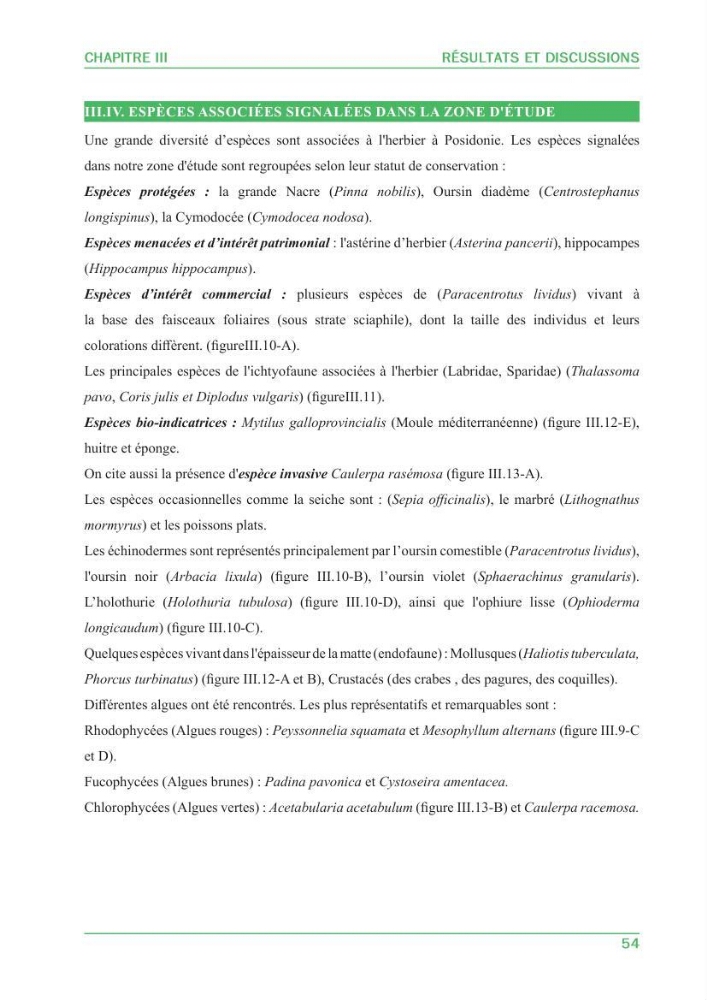 Contribution à l\'étude de l\'état écologique des herbiers à phanérogames marines ( Posidonia Oceanica ) : au niveau de la plage ouest de Sidi-Fredj
