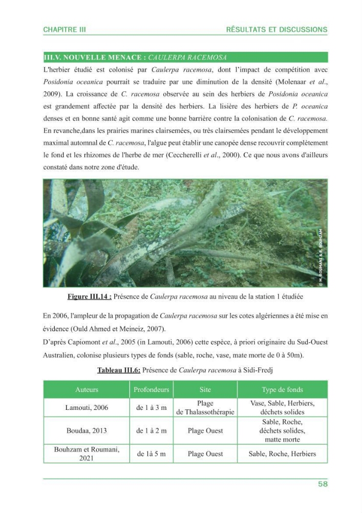 Contribution à l\'étude de l\'état écologique des herbiers à phanérogames marines ( Posidonia Oceanica ) : au niveau de la plage ouest de Sidi-Fredj