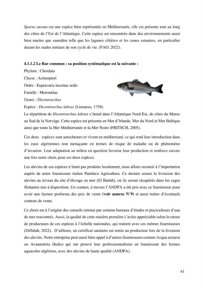 Projet de création d\'une ferme aquacole marine de Dicentrarchus labrax Loup et Daurade Sparus aurata