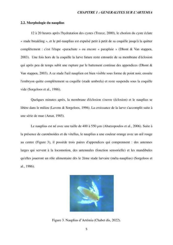 Etude de la croissance d\'Artémia dans differente conditions d\'aliments