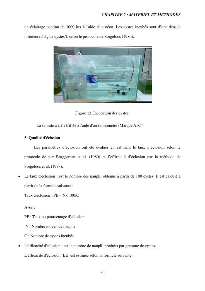 Etude de la croissance d\'Artémia dans differente conditions d\'aliments