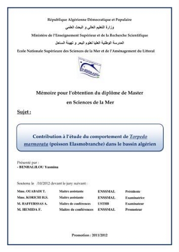 Contribution à l'étude du comportement de Torpedo marmorata (poissons Elasmobranche) dans le bassin algérien: Contribution à l'étude du comportement de Torpedo marmorata (poissons Elasmobranche) dans le bassin algérien: