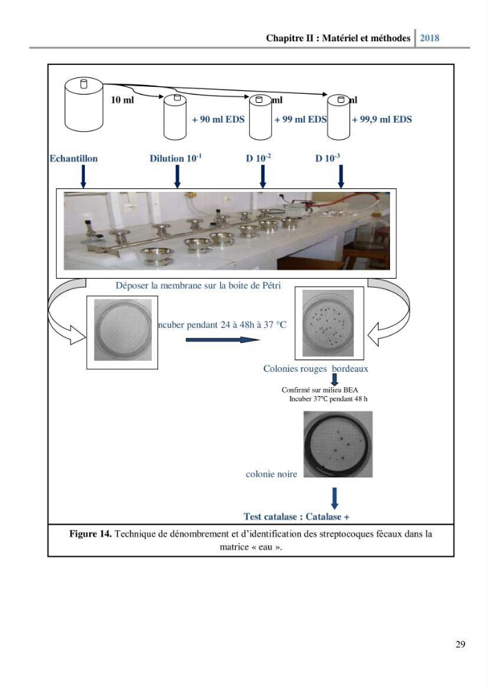 Etude des paramètres physico-chimiques et microbiologiques de l’eau et des sédiments des deux plages Est et Ouest de sidi Fredj.