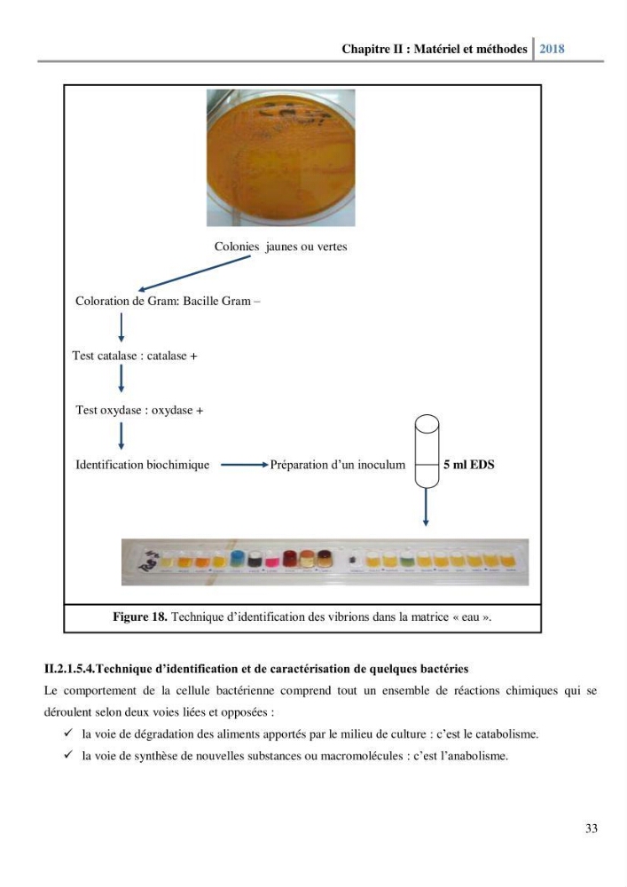 Etude des paramètres physico-chimiques et microbiologiques de l’eau et des sédiments des deux plages Est et Ouest de sidi Fredj.