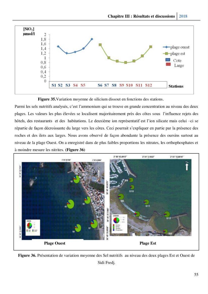 Etude des paramètres physico-chimiques et microbiologiques de l’eau et des sédiments des deux plages Est et Ouest de sidi Fredj.