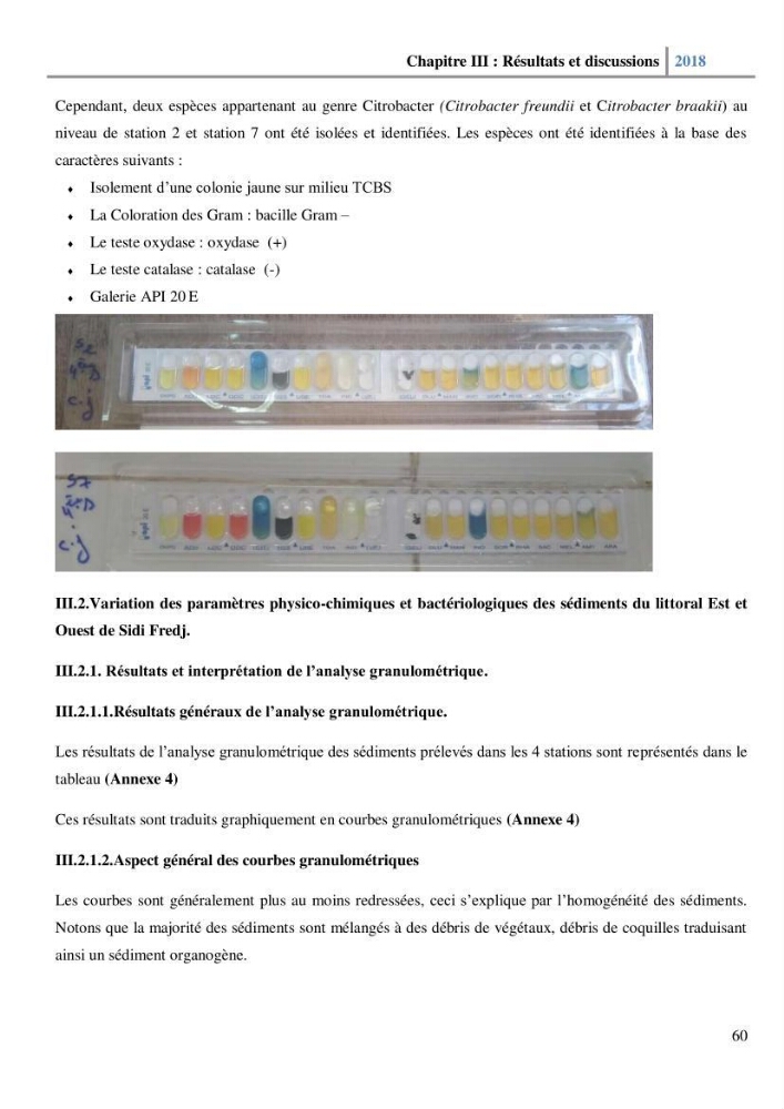 Etude des paramètres physico-chimiques et microbiologiques de l’eau et des sédiments des deux plages Est et Ouest de sidi Fredj.