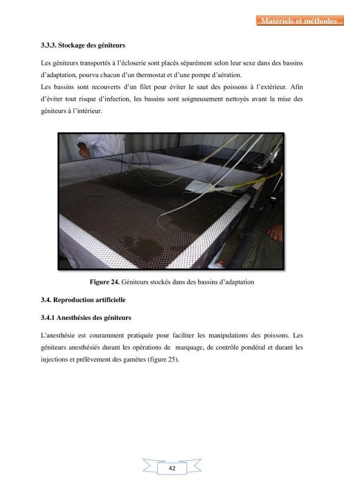 Reproduction artificielle et alevinage des carpes chinoises Hypophthalmichtys molitrix ( Valencienne, 1844) et Aristichtys nobilis (Richardson,1845).: