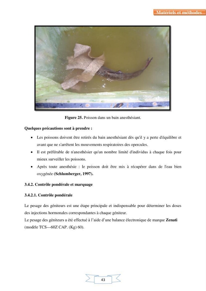 Reproduction artificielle et alevinage des carpes chinoises Hypophthalmichtys molitrix ( Valencienne, 1844) et Aristichtys nobilis (Richardson,1845).: