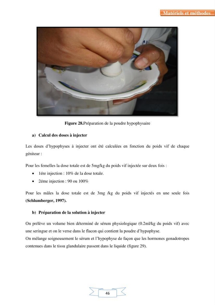Reproduction artificielle et alevinage des carpes chinoises Hypophthalmichtys molitrix ( Valencienne, 1844) et Aristichtys nobilis (Richardson,1845).: