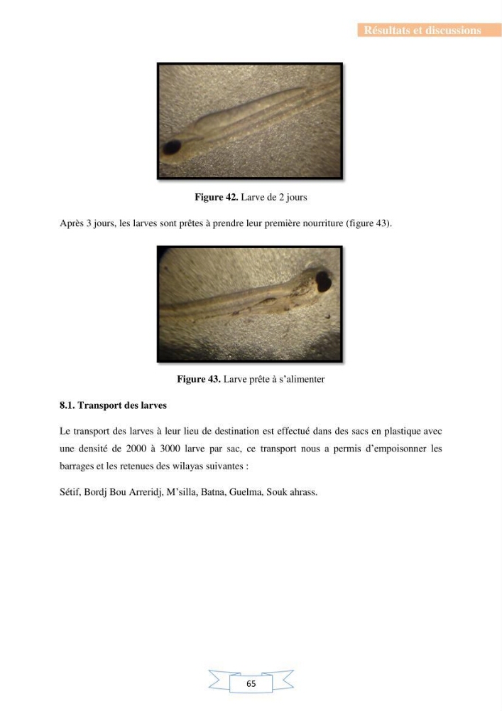 Reproduction artificielle et alevinage des carpes chinoises Hypophthalmichtys molitrix ( Valencienne, 1844) et Aristichtys nobilis (Richardson,1845).:
