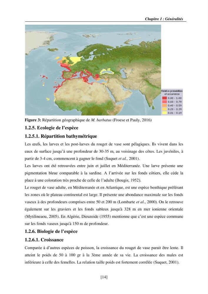 Etude de la croissance, de la reproduction et de la fécondité du rouget de vase Mullus barbatus (Linnaeus, 1758), dans le secteur Centre d\'Algérie.: