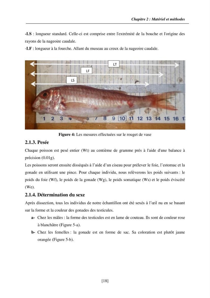 Etude de la croissance, de la reproduction et de la fécondité du rouget de vase Mullus barbatus (Linnaeus, 1758), dans le secteur Centre d\'Algérie.: