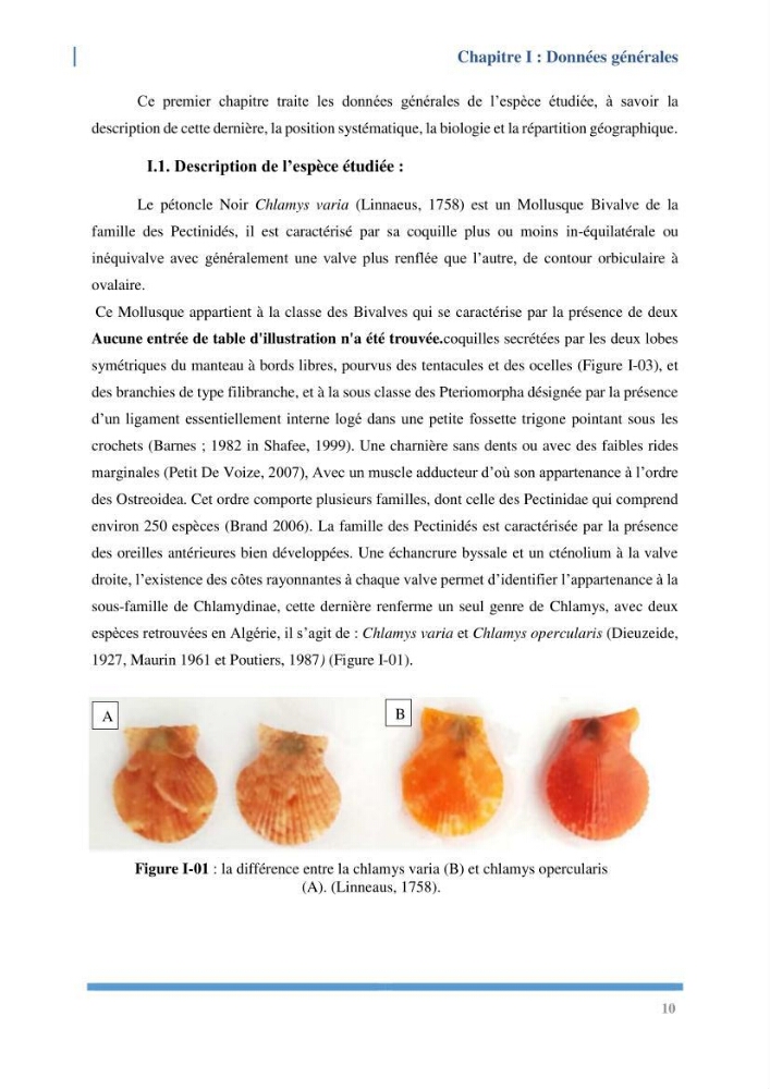 Etude de l’écologie et des Potentialités Aquacoles d’un Mollusque Bivalve Chlamys varia (Linnaeus, 1758) dans la baie de Bou Ismail