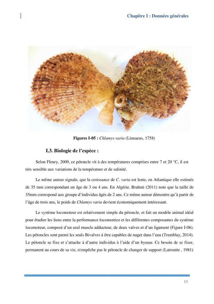 Etude de l’écologie et des Potentialités Aquacoles d’un Mollusque Bivalve Chlamys varia (Linnaeus, 1758) dans la baie de Bou Ismail