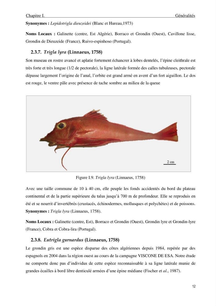 Contribution à l’étude des Triglidae ( Actinopteri, Perciformes ) de la côte algérienne: morphométrie géométrique et analyse du contour de l\'opercule