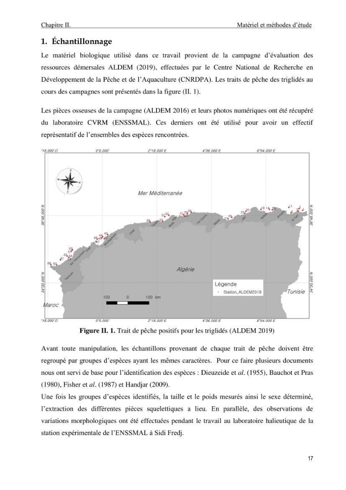 Contribution à l’étude des Triglidae ( Actinopteri, Perciformes ) de la côte algérienne: morphométrie géométrique et analyse du contour de l\'opercule