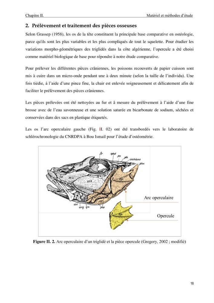 Contribution à l’étude des Triglidae ( Actinopteri, Perciformes ) de la côte algérienne: morphométrie géométrique et analyse du contour de l\'opercule