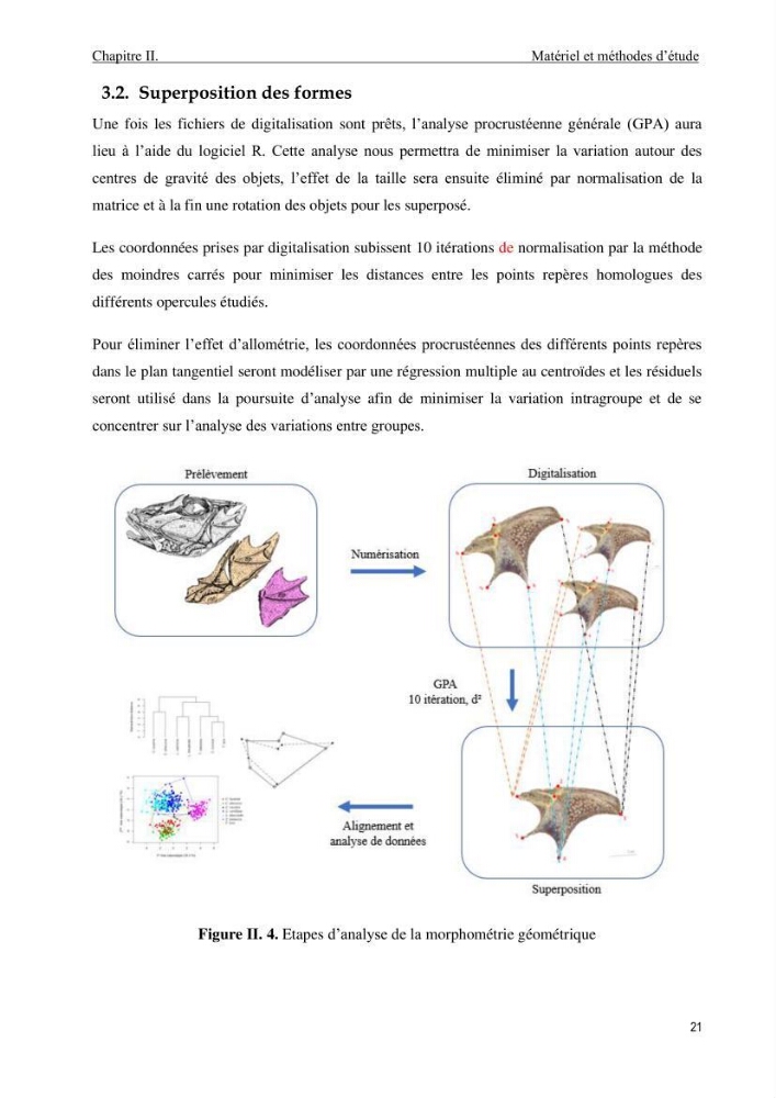 Contribution à l’étude des Triglidae ( Actinopteri, Perciformes ) de la côte algérienne: morphométrie géométrique et analyse du contour de l\'opercule