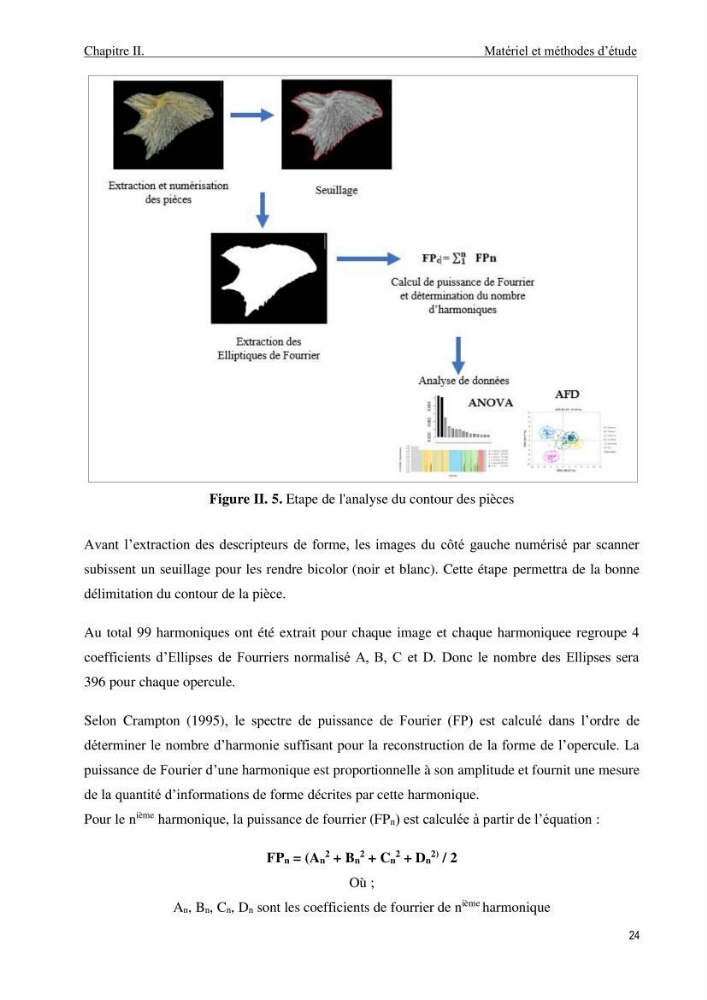 Contribution à l’étude des Triglidae ( Actinopteri, Perciformes ) de la côte algérienne: morphométrie géométrique et analyse du contour de l\'opercule