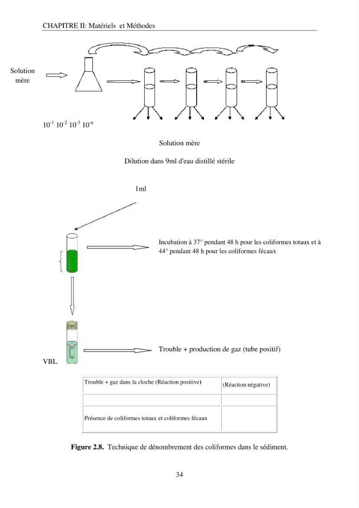 Etude d\'impact sur l\'environnement de l\'extention de terre-plein du port de Bejaia